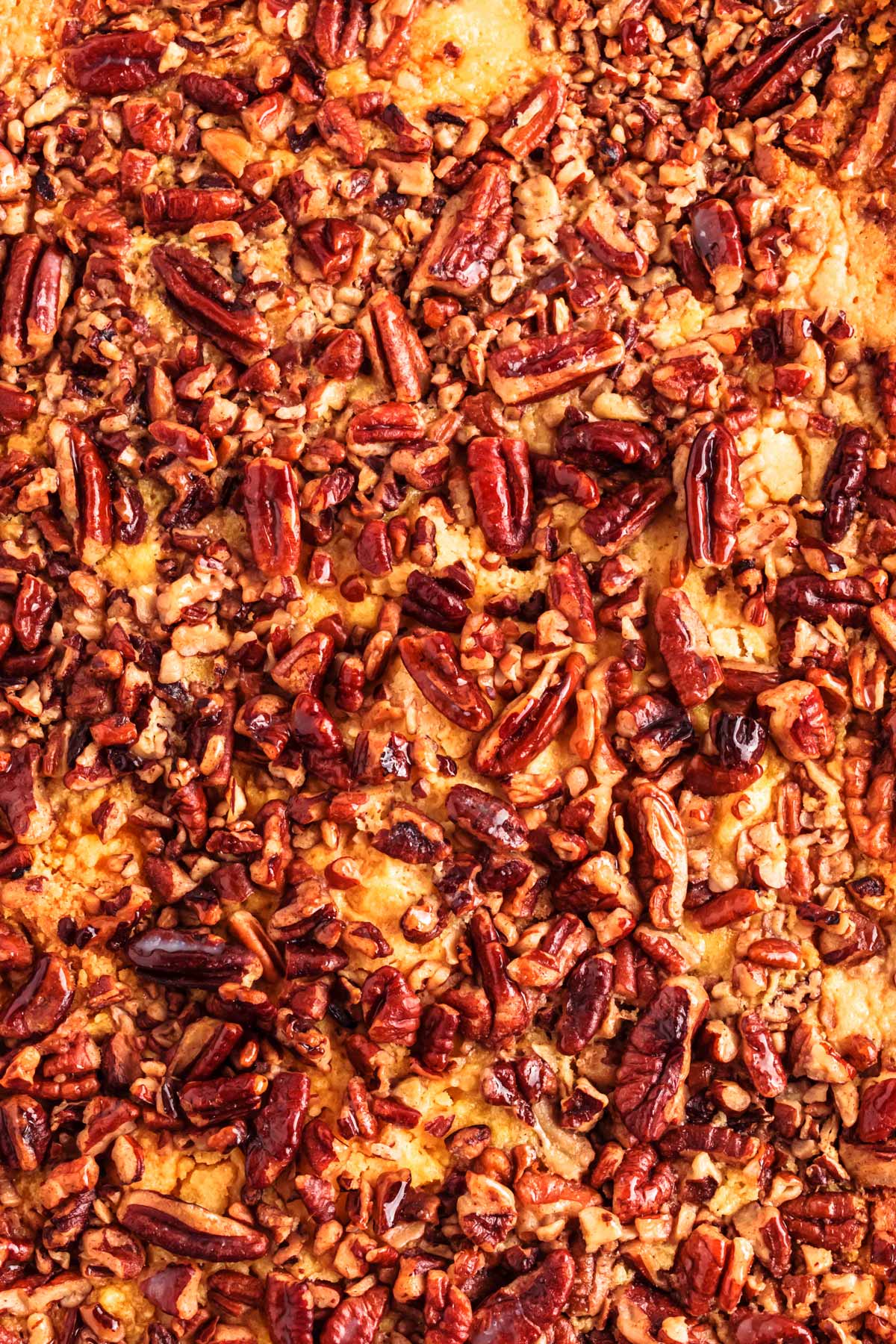 overhead close up view of pumpkin pecan dump cake topping